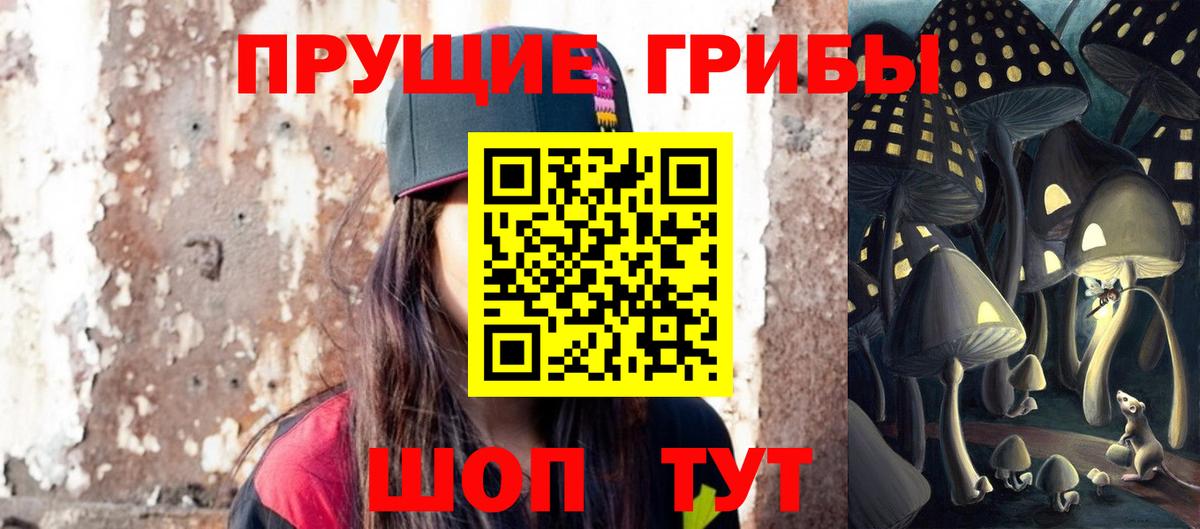Галлюциногенные грибы Cubensis  Вход с VPN  Артём 
