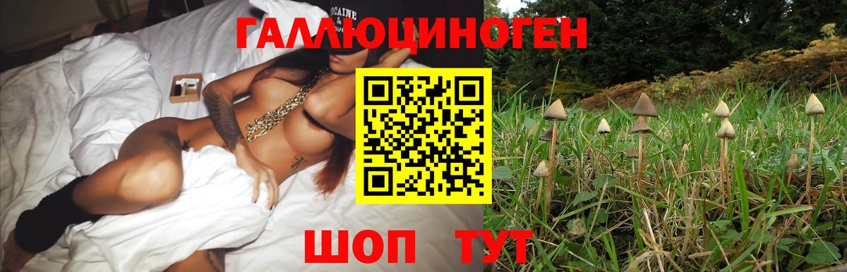 Псилоцибиновые грибы ЛСД  Псилоцибиновые грибы Psilocybine cubensis  Артём 